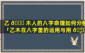 乙 🐅 木人的八字命理如何分析「乙木在八字里的运用与用 🦄 神取用」